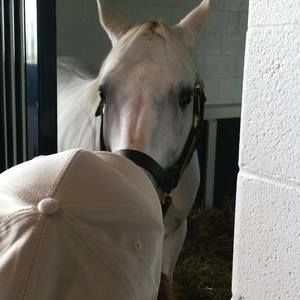 Meet your Posher, Diane